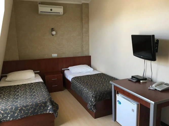 Standard Twin room with balcony and with view