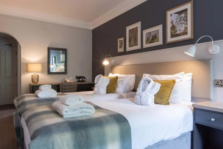 Standard Twin room