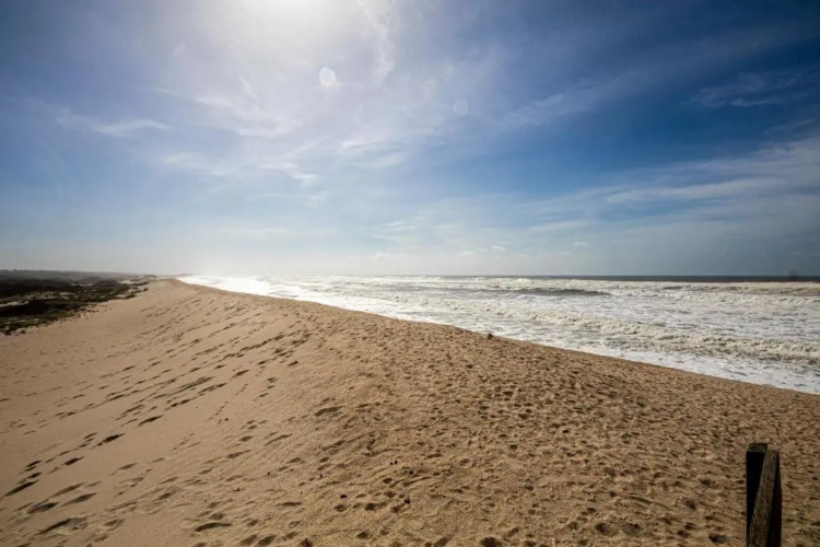 The Beach House