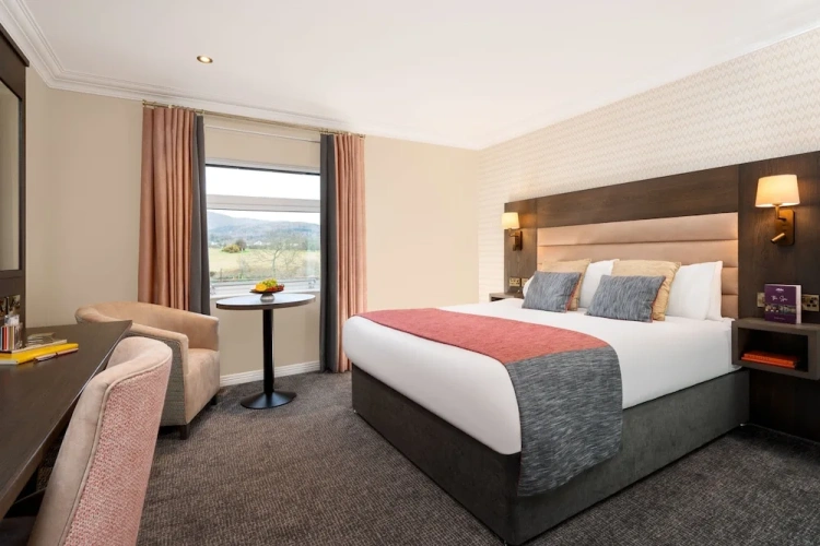 Standard Double room with mountain view