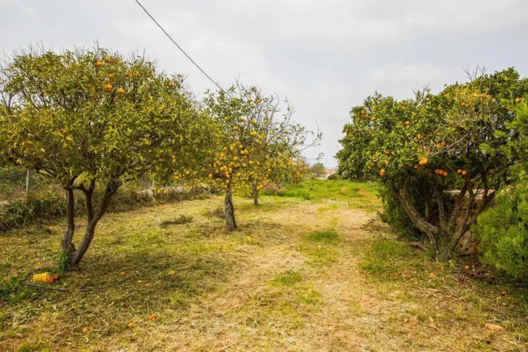 Ses Cases Noves Villa