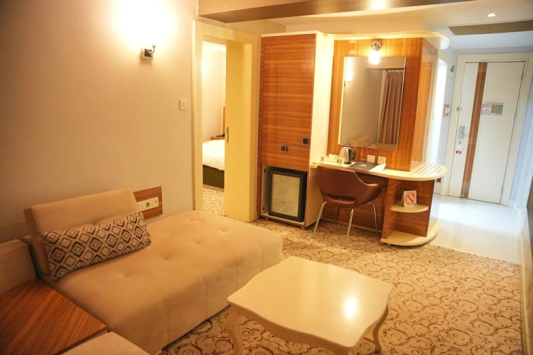 Premium Suite with city view