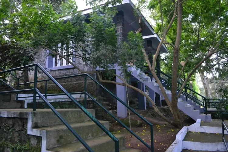 Deluxe Cottage
