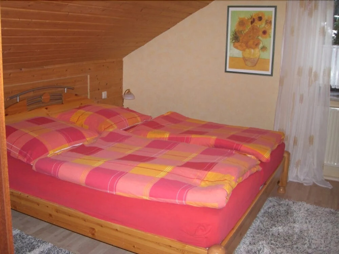 Apartment Petrik