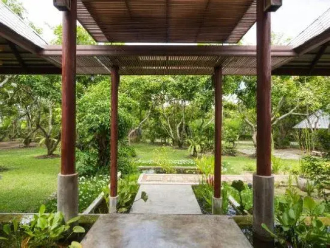 The Tropical Escape