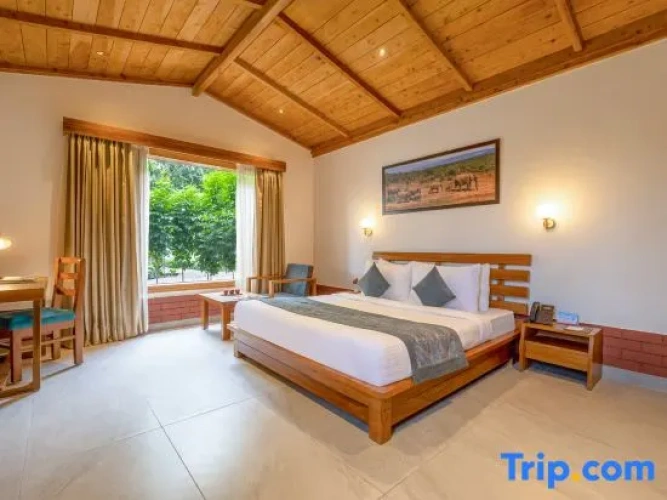 Premier room