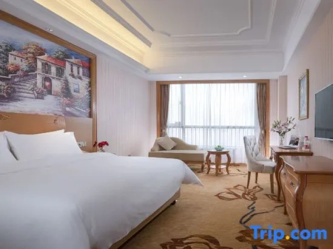 Executive Quadruple Suite