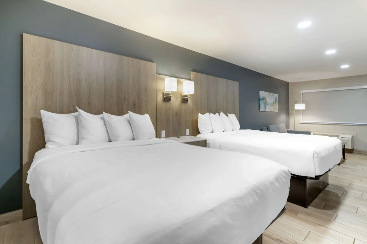 Quadruple Junior Suite