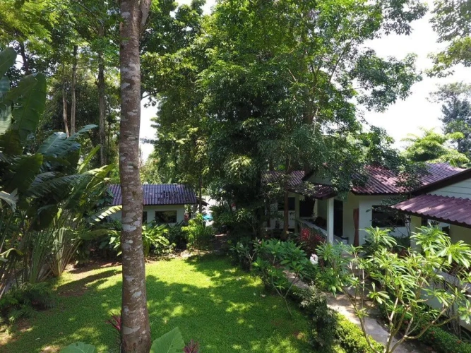 Deluxe Bungalow with balcony and with garden view