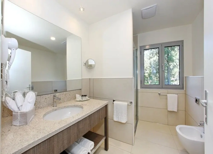 Standard Double room with view