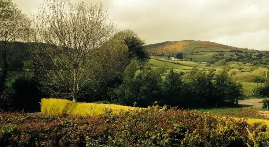 Ballyheefy Lodge