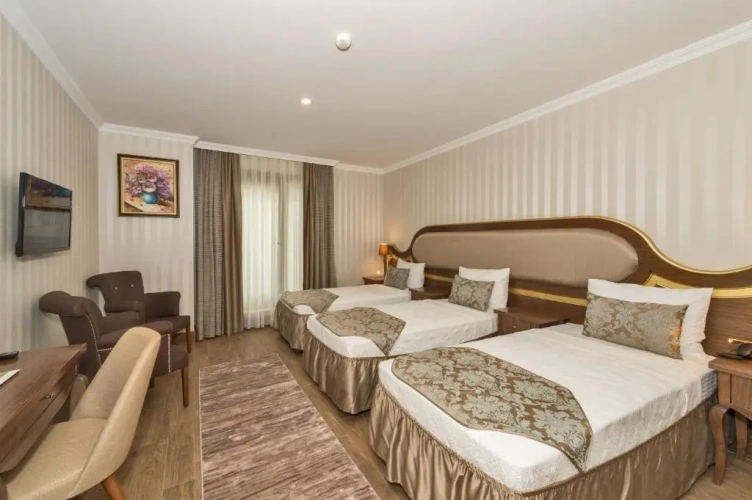 Standard Triple room