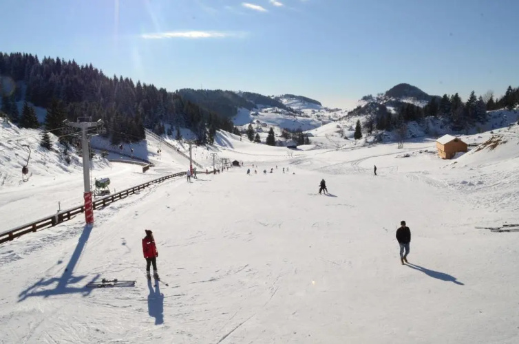 Cheile Gradistei Resort Fundata