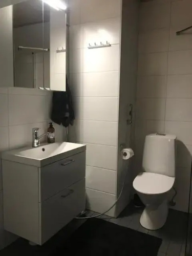 PikkuParlamentti