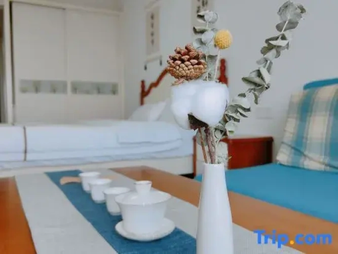 Standard Double room with balcony and with sea view