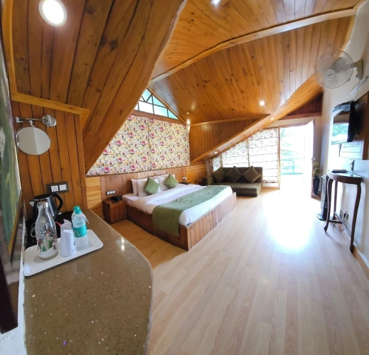 Standard Attic room