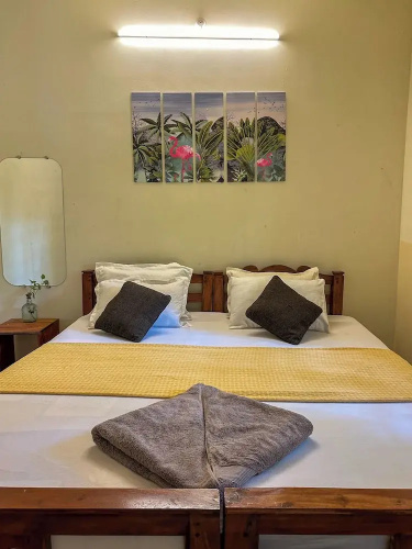 Molly's Hostel