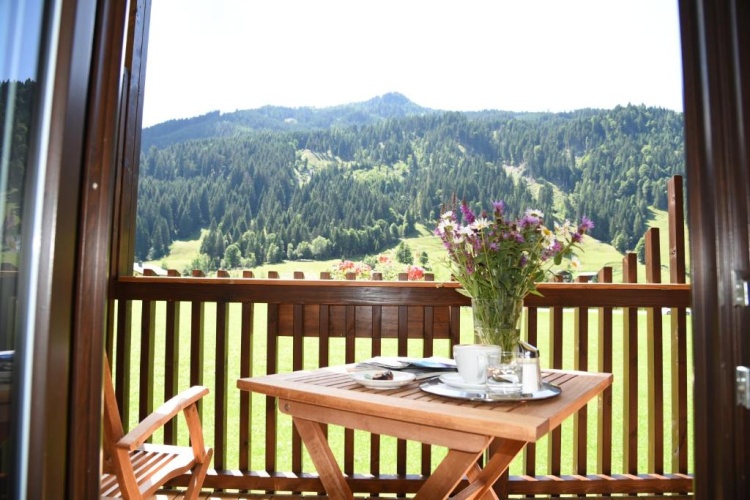 Standard Double room with balcony and with view