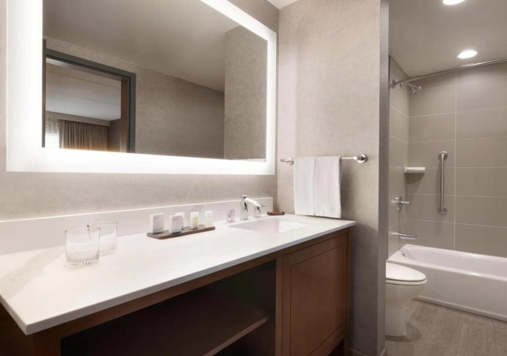 Embassy Suites by Hilton Chicago Naperville photo 11