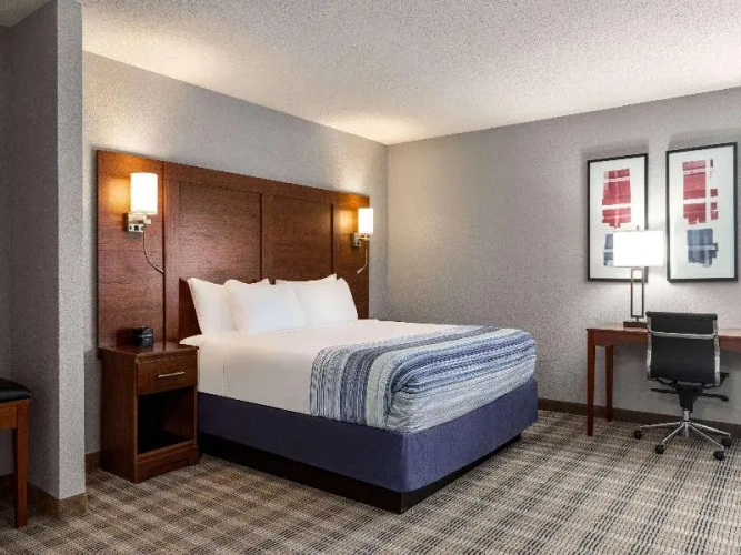 Double Suite