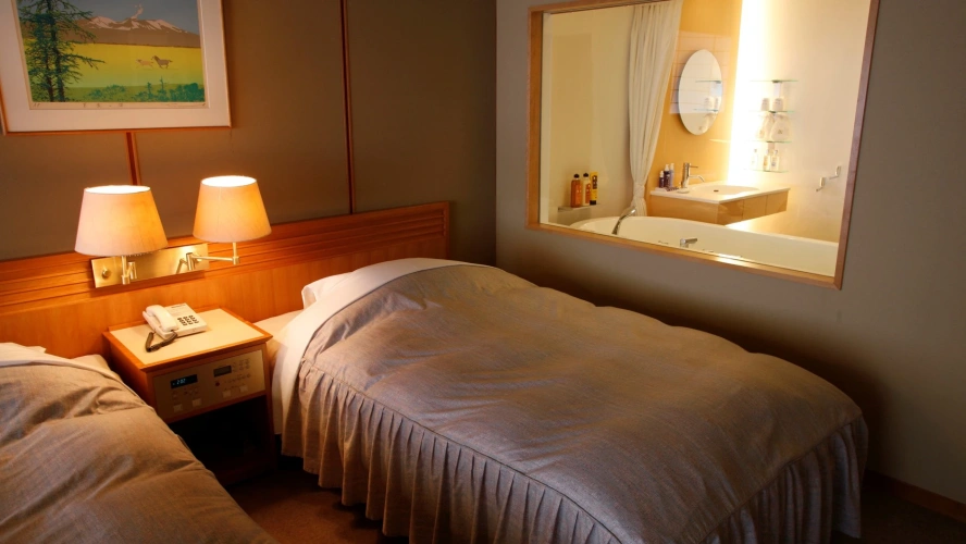 Deluxe Twin room