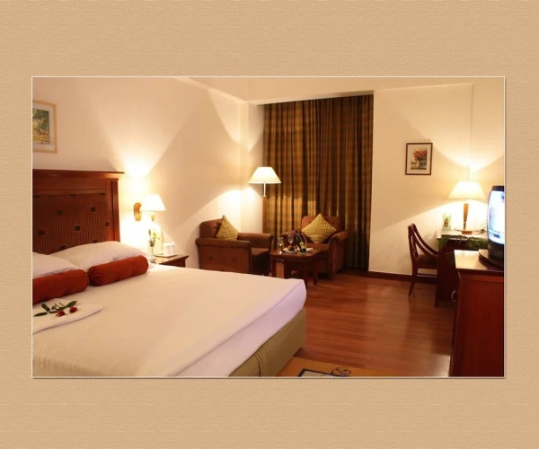 Executive Double room