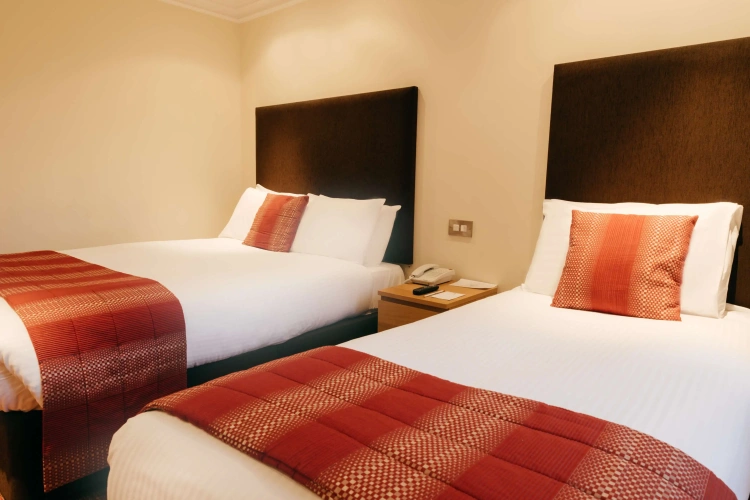 Standard Twin room