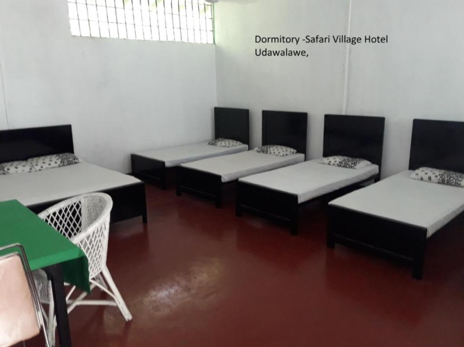 Bed in Dorm