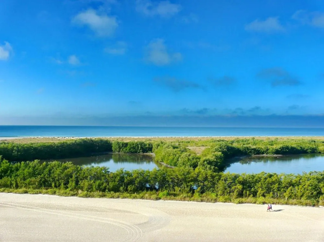 Beachfront Condo With Pool and Dazzling Ocean View