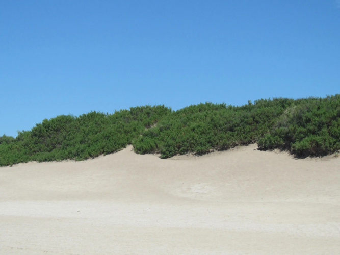Mareazzurro