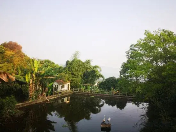 Taole Forest Hostel