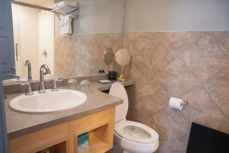 Standard Twin Duplex Apartment