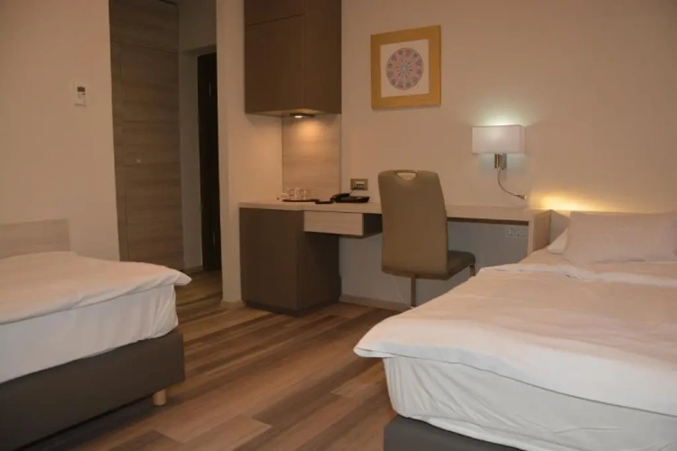Standard Twin room with balcony and with park view