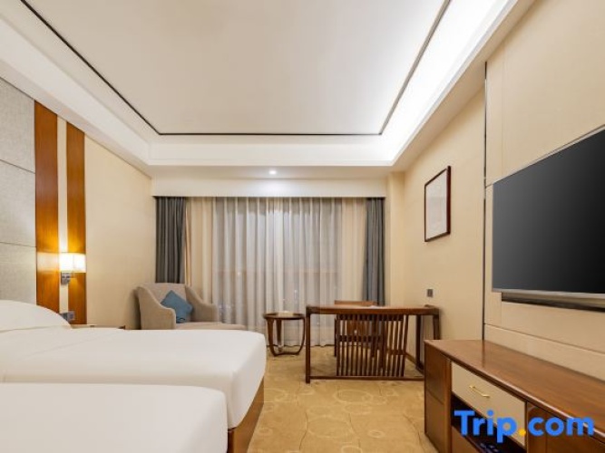 Executive Twin room