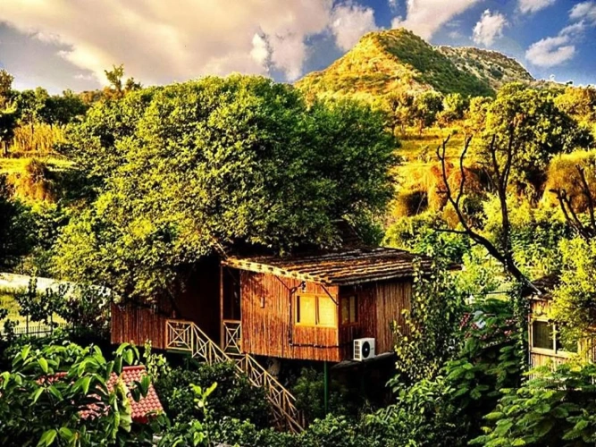 Deluxe Cottage with view
