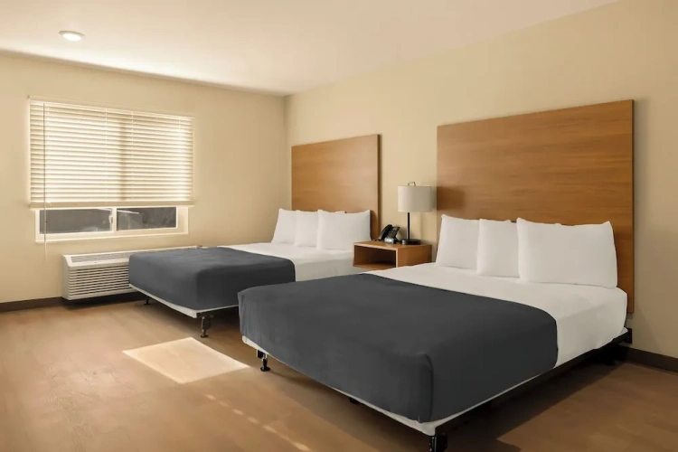 Quadruple Suite