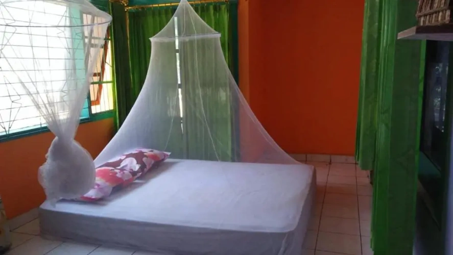 Bed in Dorm