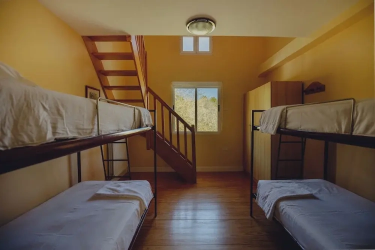 Bed in Dorm