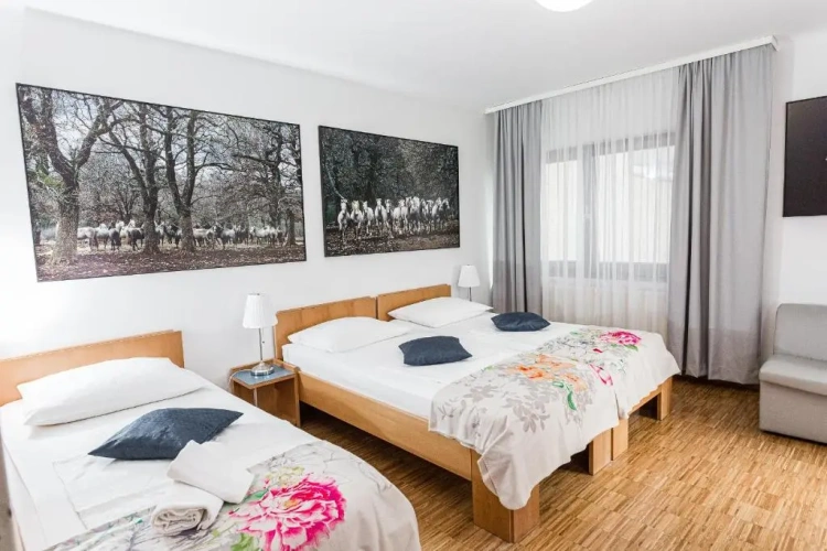Standard Triple room