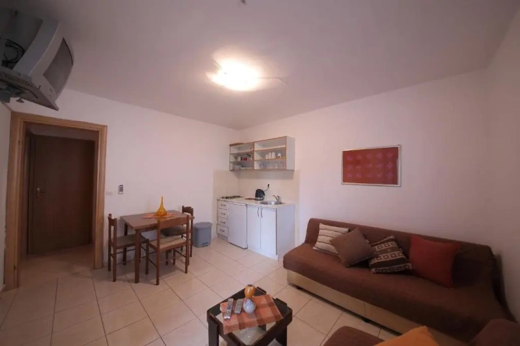 1 Bedroom Apartment with balcony and with view