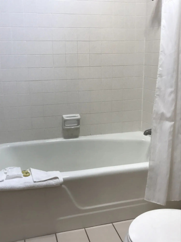 Olive Tree inn & Suites