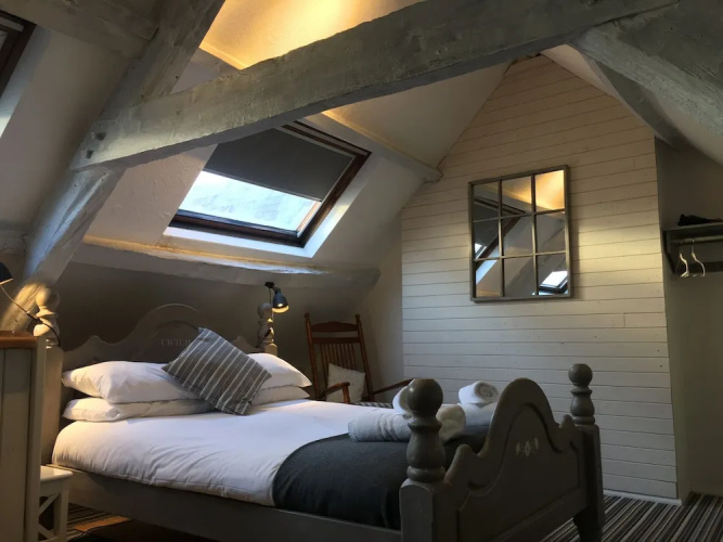 Bear With Rooms