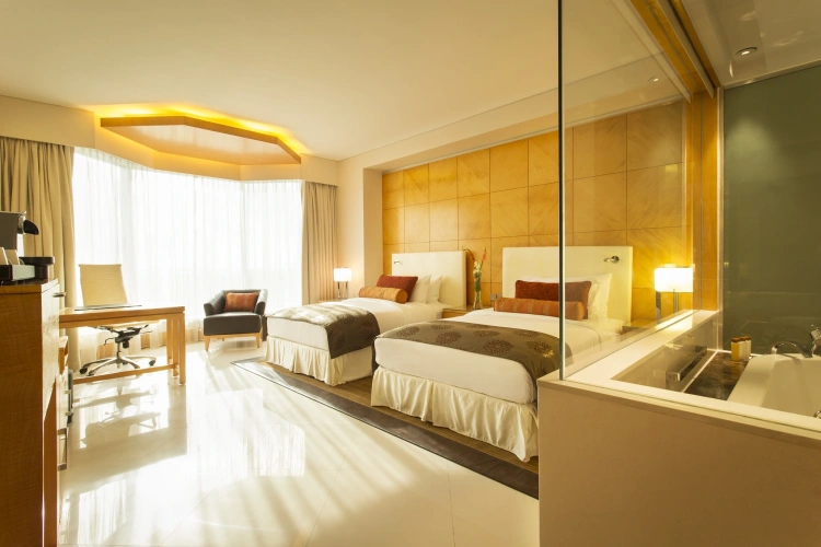 Standard Twin Club room
