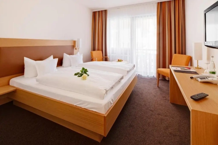 Standard Double room with balcony and with view