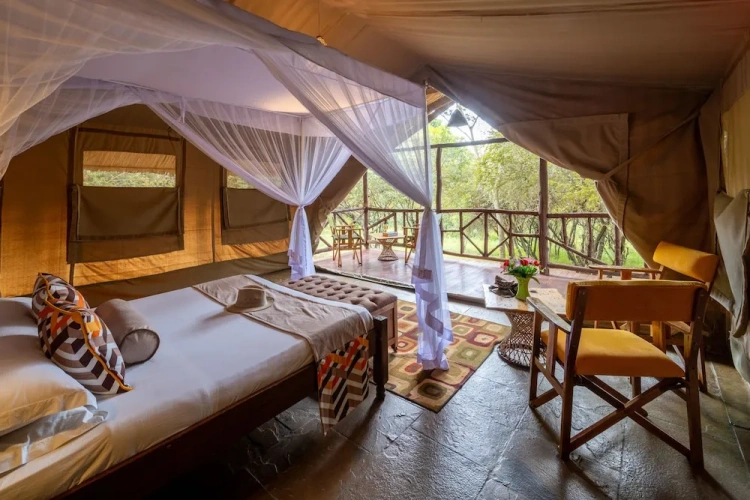Standard Triple room