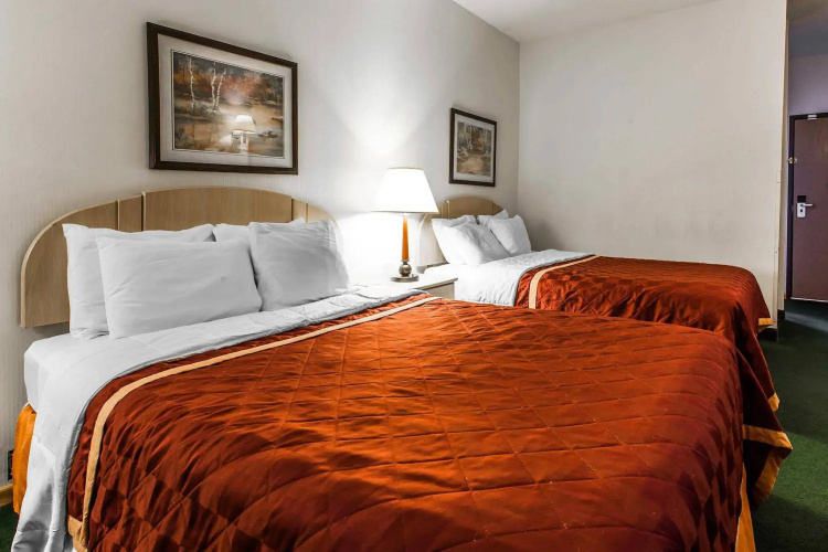 Bellis Inn