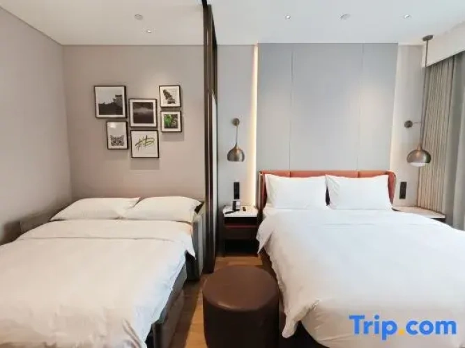 Standard Double Family room