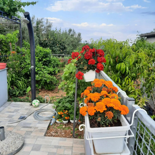 Studio apartman Mare