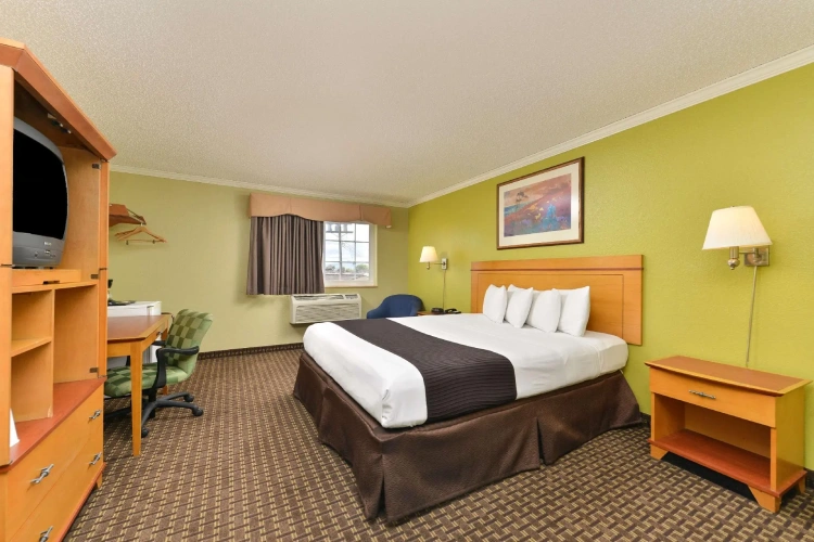 Standard Double room