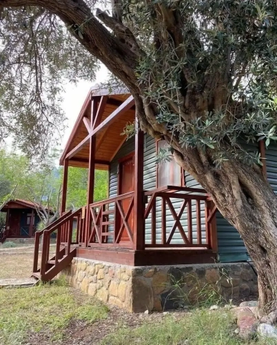 Deluxe Bungalow